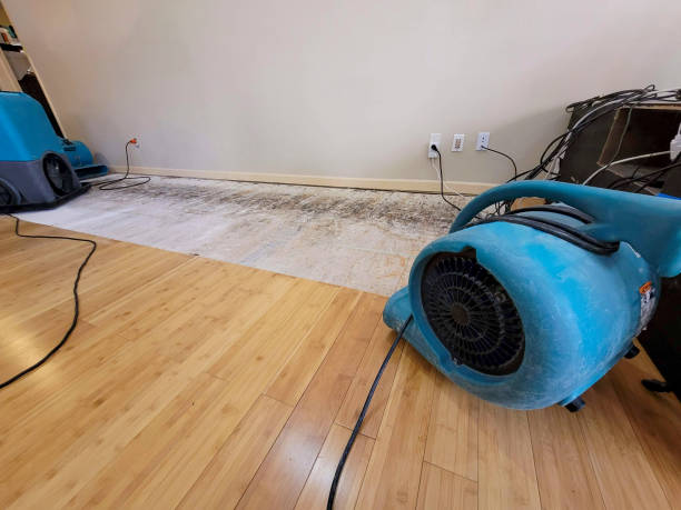 Professional Water Damage Repair technician working in Baring, WA